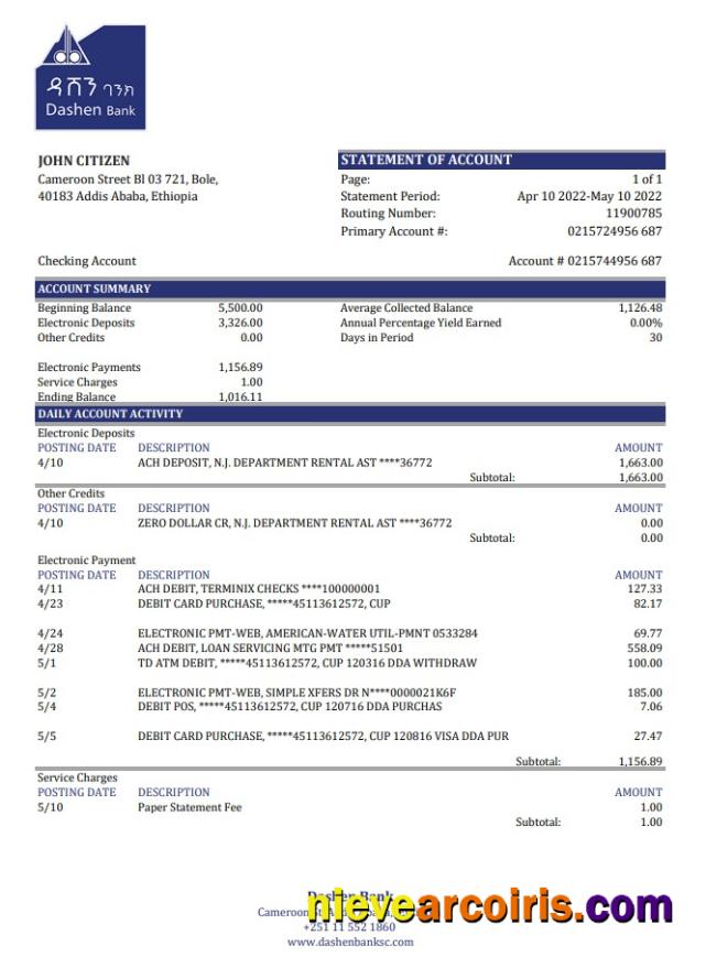 Ethiopia Dashen Bank statement xls